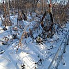 Неизвестно Неизвестно Неизвестно