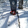 Буянкина Оксана Геннадьевна фото изображение | ПримРитуал