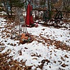 Брехова Любовь Викторовна