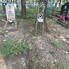 Кульбовская Федора Ивановна