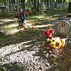 Рябцев Евгений Александрович