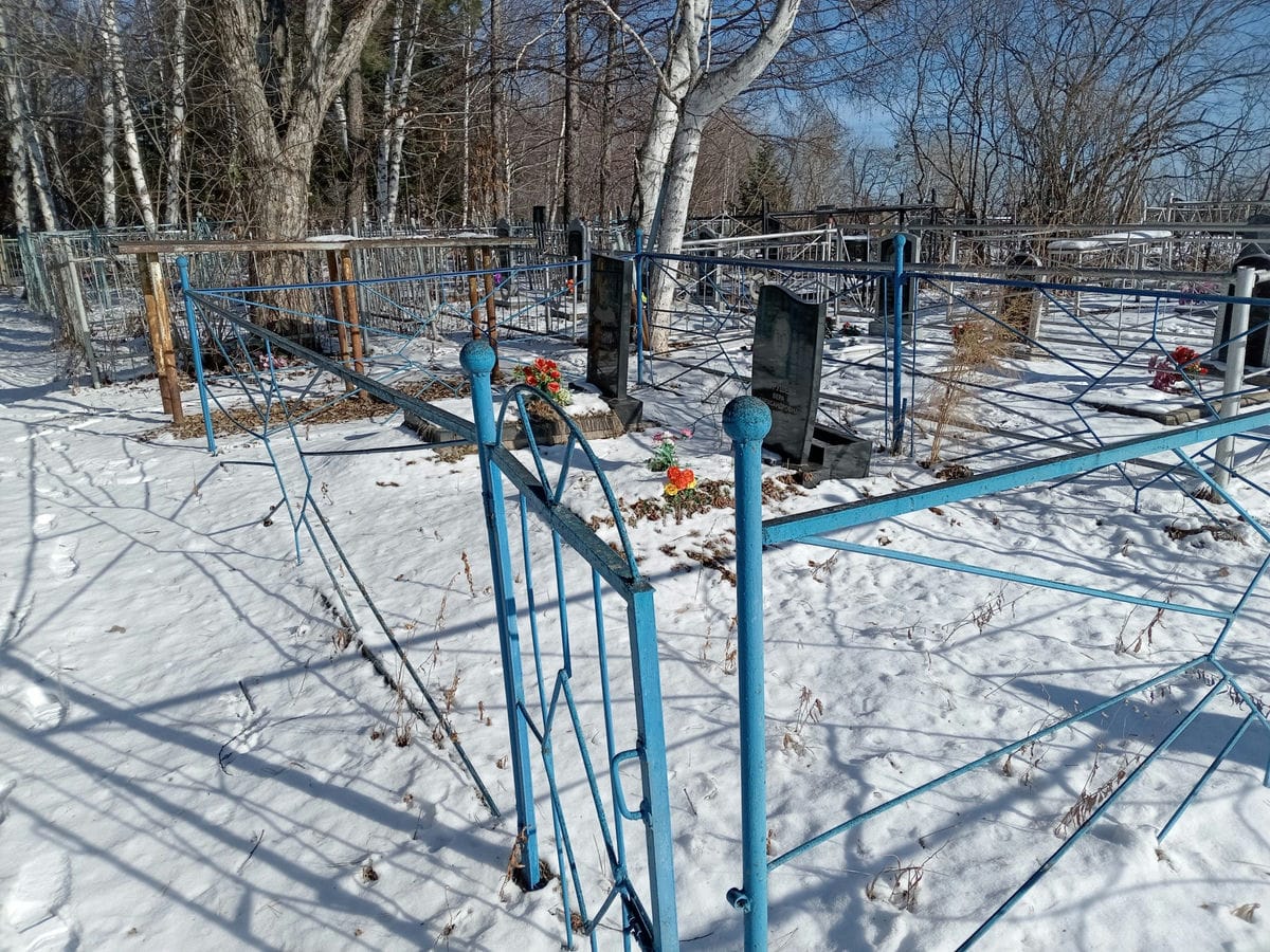 17e98f33-f800-4f2f-b01b-e26fc7c8c641 Шведюк Галина Ивановна