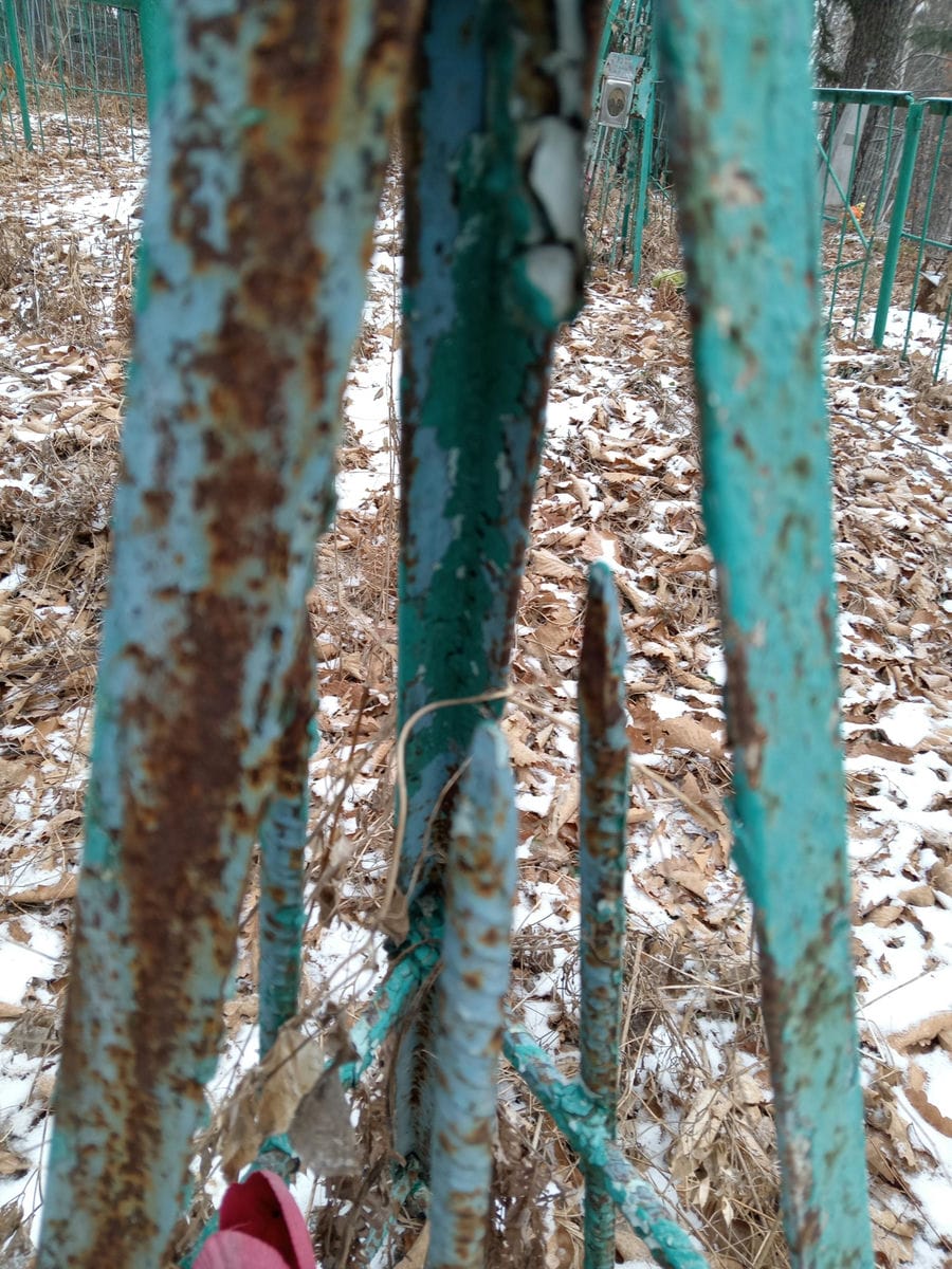 Неизвестно Неизвестно Неизвестно