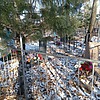 Козлов Николай Корнеевич