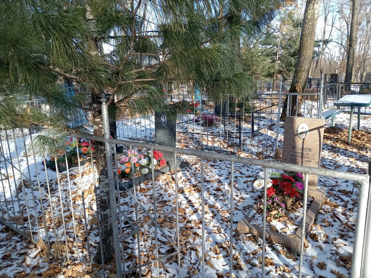 1bfecff4-45c5-4f63-b468-1abd21a59c6b Козлов Николай Николаевич