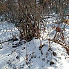 Мартынов Александр Николаевич