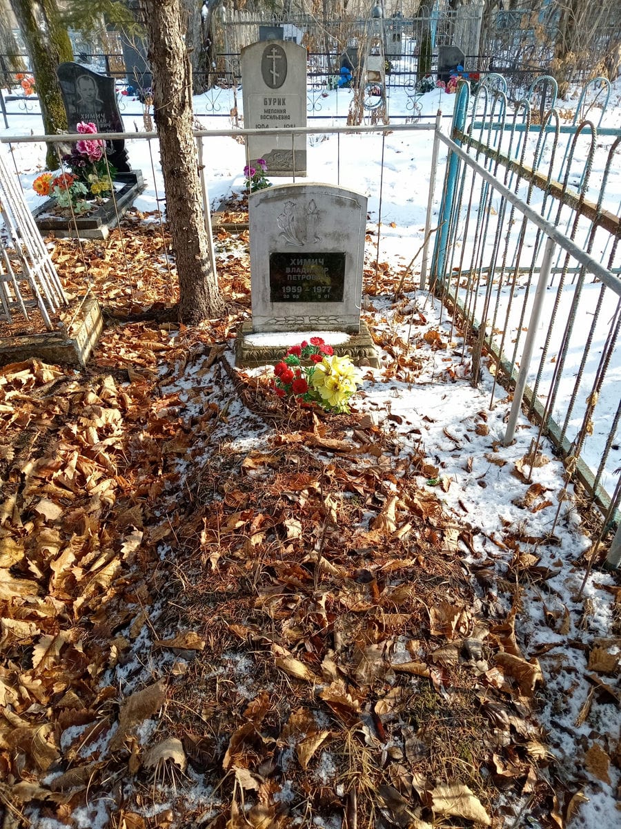 Химич Владимир Петрович