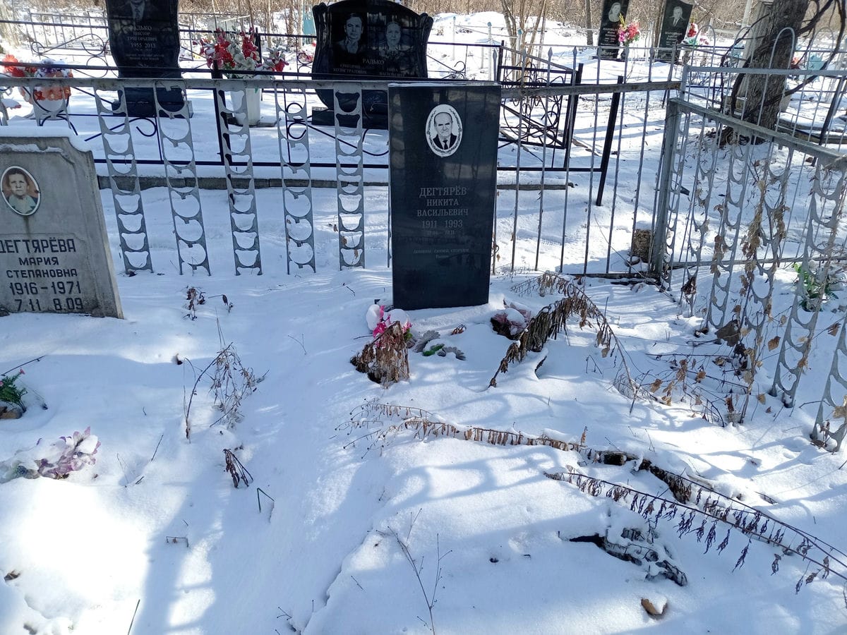 Дегтярёв Никита Васильевич