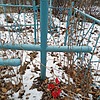Неизвестно Неизвестно Неизвестно