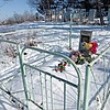 Курячая Екатерина Андреевна