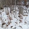 Беляков Николай Степанович