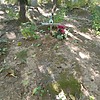 Гиневский Кузьма Евстафьевич