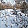 Корбаш Николай Моисеевич