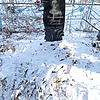 Стефанишин Николай Матвеевич