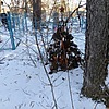 Неизвестно Неизвестно Неизвестно