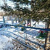 Белик Анна Моисеевна