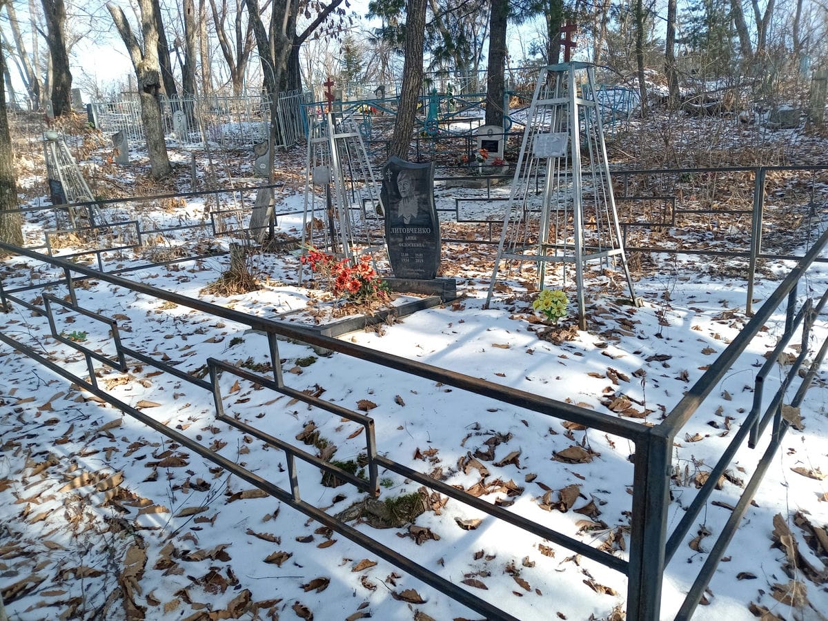 30fb74a4-ab18-49b4-b8b7-4e2930cf0ff6 Литовченко Анна Федосеевна
