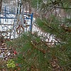 Резник Павел Петрович