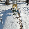 Леконцев Леонид Николаевич