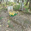 Шпеко Тамара Яковлевна