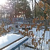 Мазур Александр Александрович