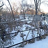 Клочко Матрена Николаевна