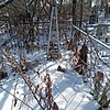 Обрежа Петр Иванович