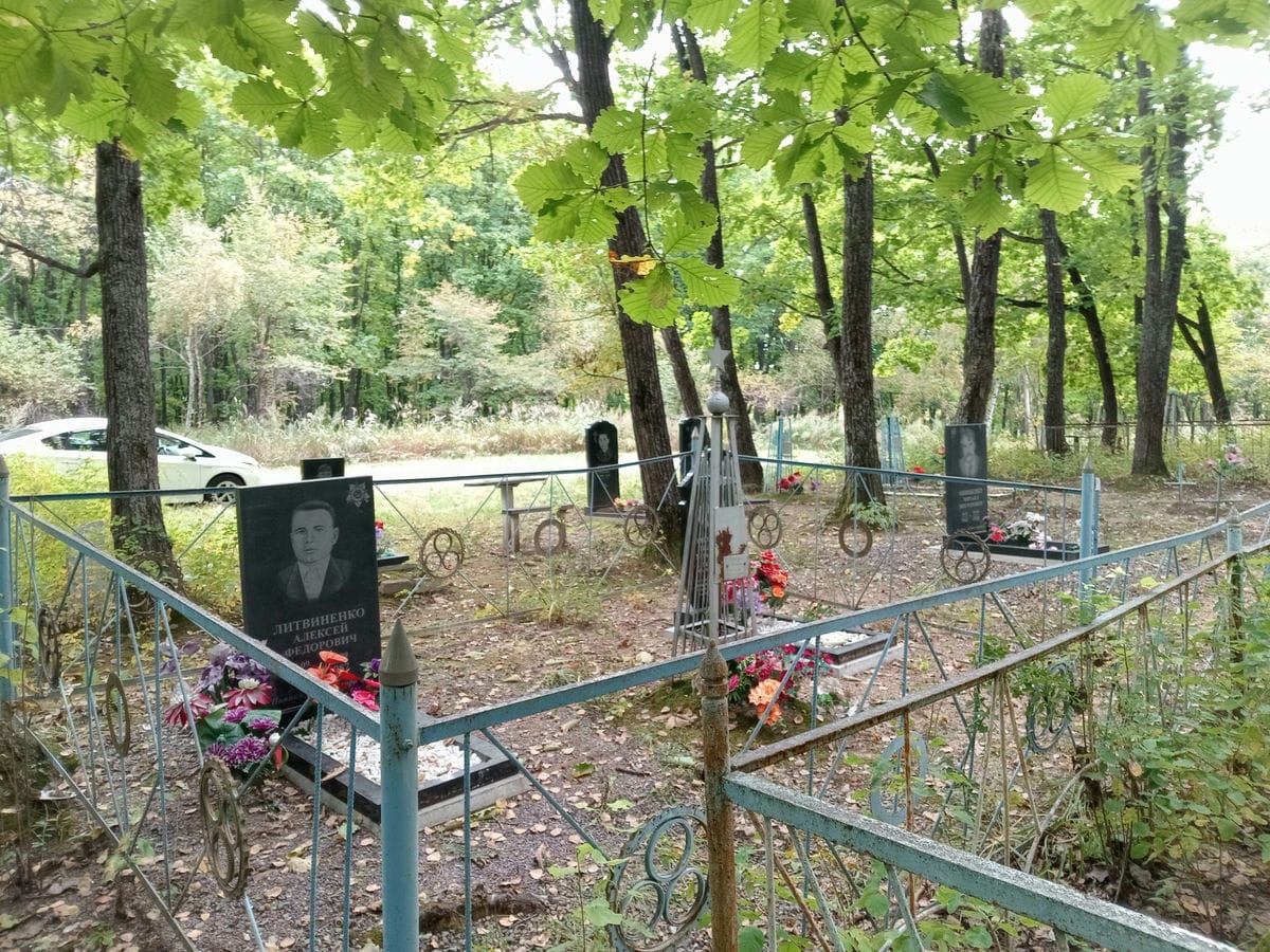 38505477-a920-465a-8bbd-80eb1c673ebc Литвиненко Александра Алексеевна