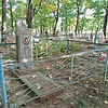 Рябцева Виктория Александровна