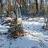 Власко Николай Степанович