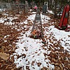 Брехова Любовь Викторовна