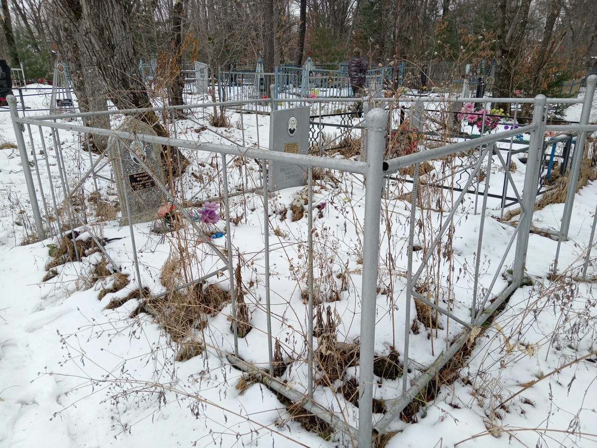 3b5accdd-ffcf-4f42-a41f-c471c8a42b31 Васильев Федор Михайлович