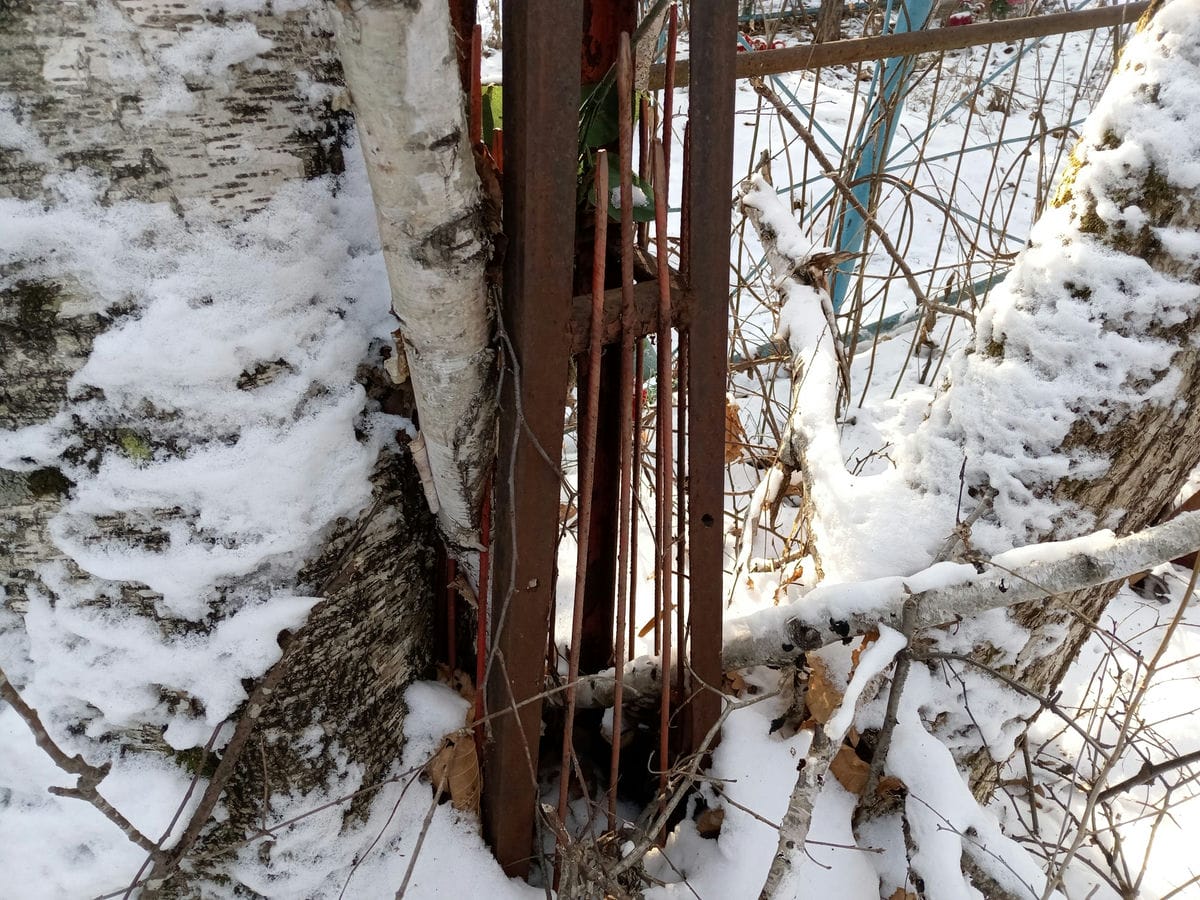 Неизвестно Неизвестно Неизвестно