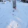 Сураева Федосия Сергеевна