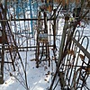 Зикунов Коля Неизвестно