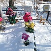 Довбенко Виктор Николаевич