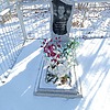 Ильин Владимир Иванович