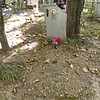 Залозная Софья Семеновна