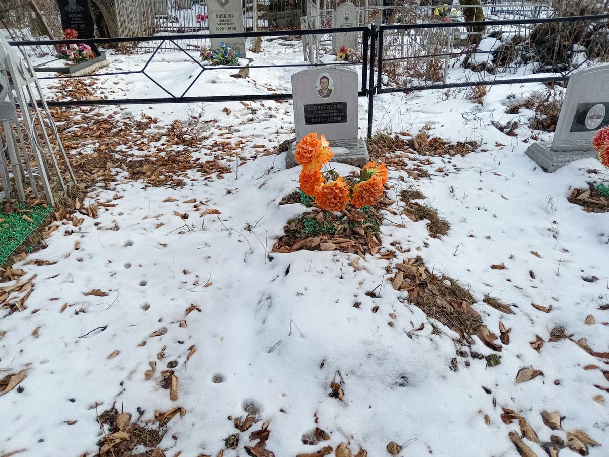 45d3c566-df0b-42c8-a6ea-234086ca5b40 Ковалевская Любовь Михайловна