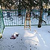 Ильченко Марина Савельевна