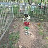 Заровный Алексей Корнеевич