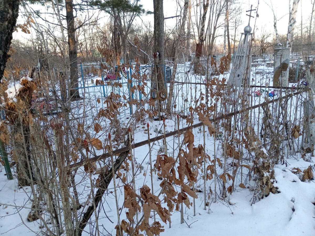 48594c15-6212-488c-a84b-aa3e66770f12 Исайко Николай Дмитриевич