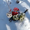 Неизвестно Неизвестно Неизвестно