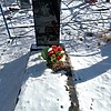 Шведюк Галина Ивановна