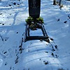 Панова Лилия Александровна