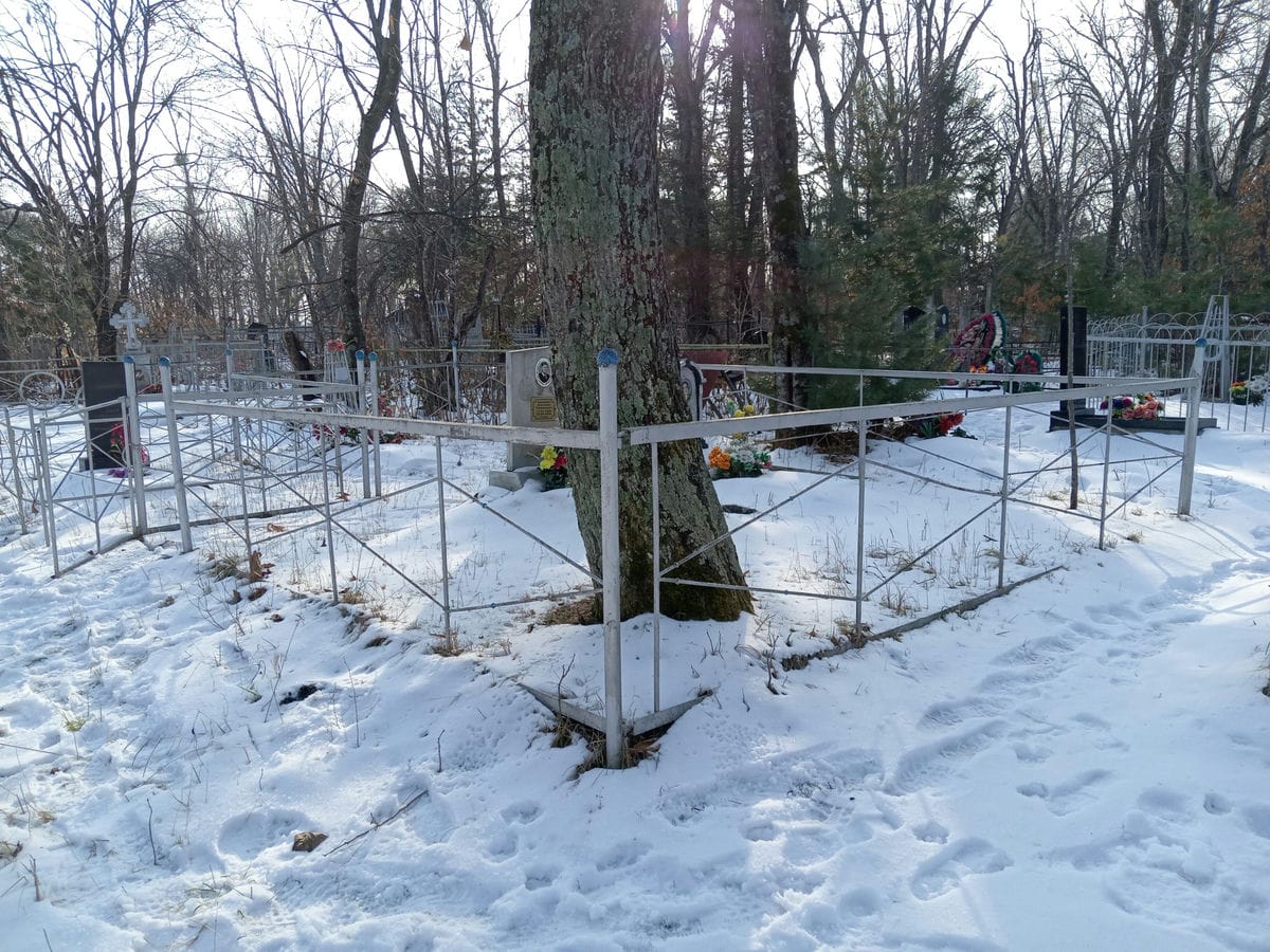 Аржадеев Анатолий Гаврилович