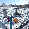Сушильников Андрей Сергеевич