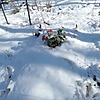 Неизвестно Неизвестно Неизвестно