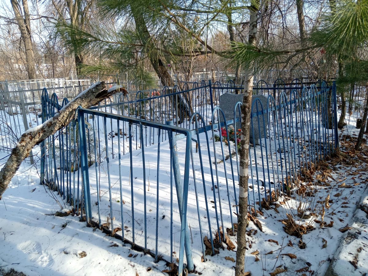 51881255-c6fb-45f3-b785-579a86db4dc4 Высочина Евдокия Ефимовна