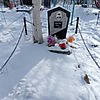 Шаповалов Игорь Алексеевич